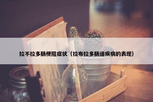 拉不拉多肠梗阻症状（拉布拉多肠道疾病的表现）
