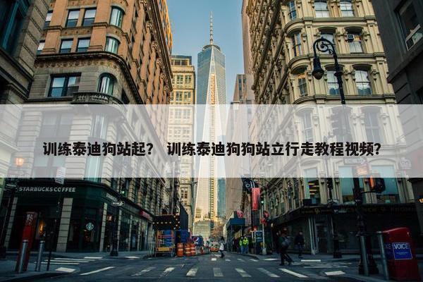 训练泰迪狗站起？ 训练泰迪狗狗站立行走教程视频？
