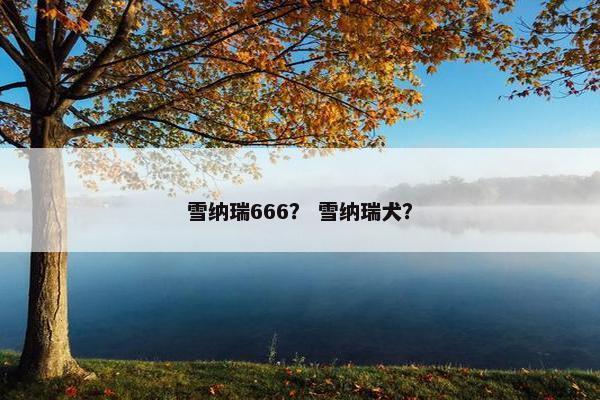 雪纳瑞666？ 雪纳瑞犬？