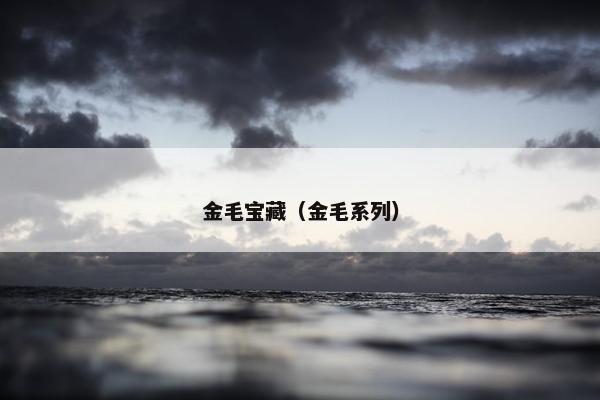 金毛宝藏（金毛系列）