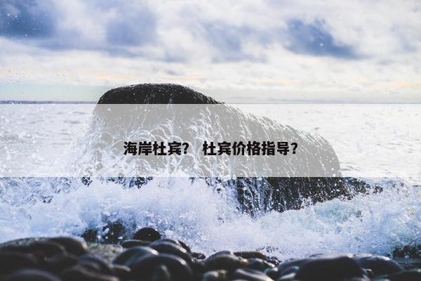 海岸杜宾？ 杜宾价格指导？