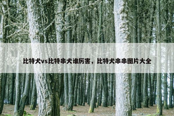 比特犬vs比特串犬谁厉害，比特犬串串图片大全