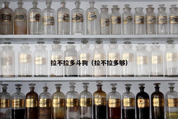 拉不拉多斗狗（拉不拉多够）