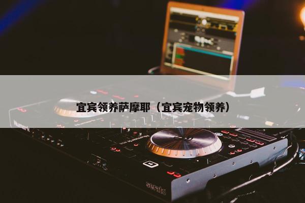 宜宾领养萨摩耶（宜宾宠物领养）