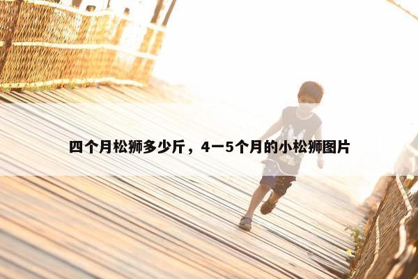 四个月松狮多少斤，4一5个月的小松狮图片