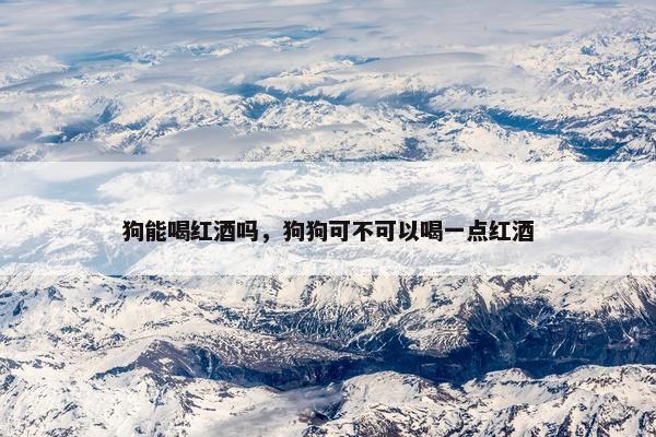 狗能喝红酒吗，狗狗可不可以喝一点红酒