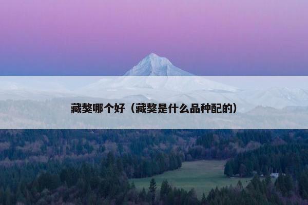 藏獒哪个好（藏獒是什么品种配的）