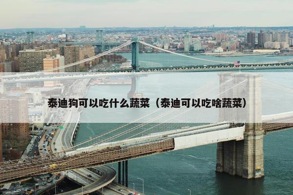 泰迪狗可以吃什么蔬菜（泰迪可以吃啥蔬菜）