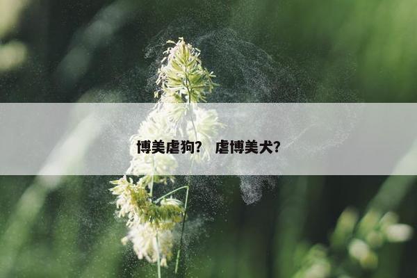 博美虐狗？ 虐博美犬？