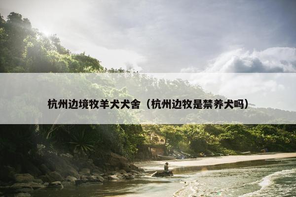 杭州边境牧羊犬犬舍（杭州边牧是禁养犬吗）