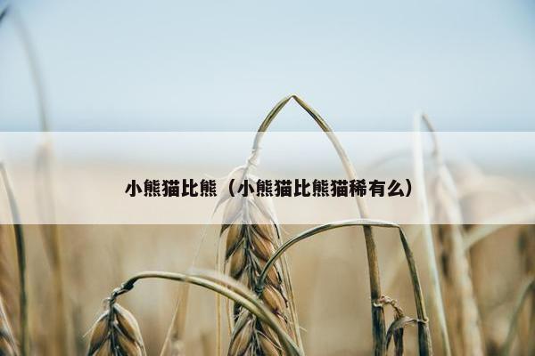 小熊猫比熊（小熊猫比熊猫稀有么）