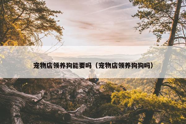 宠物店领养狗能要吗（宠物店领养狗狗吗）