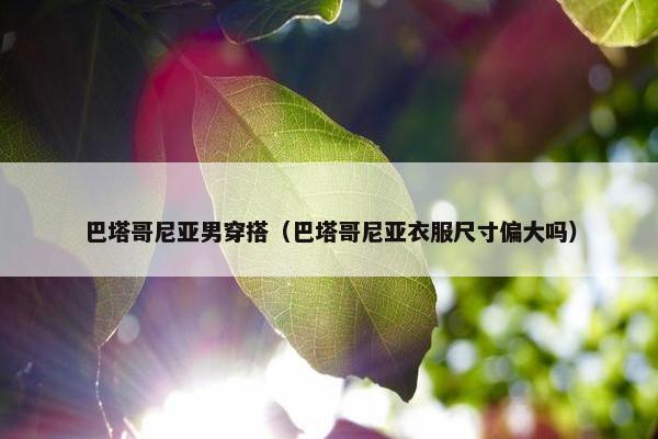 巴塔哥尼亚男穿搭（巴塔哥尼亚衣服尺寸偏大吗）