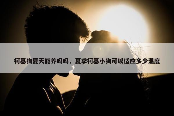 柯基狗夏天能养吗吗，夏季柯基小狗可以适应多少温度