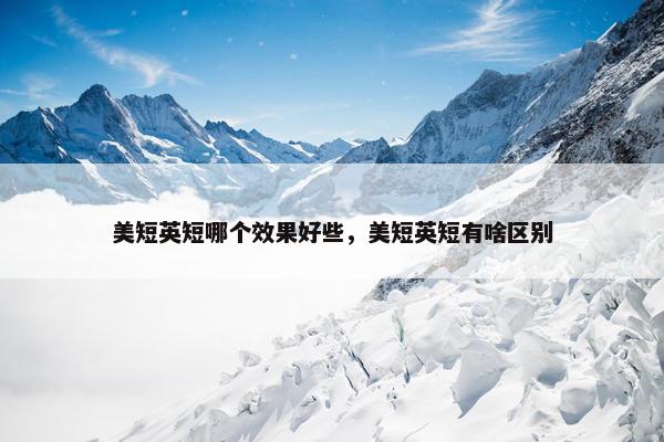 美短英短哪个效果好些，美短英短有啥区别
