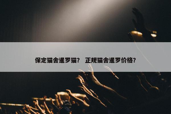 保定猫舍暹罗猫？ 正规猫舍暹罗价格？