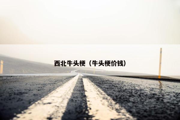 西北牛头梗（牛头梗价钱）