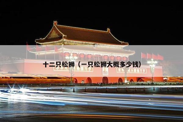 十二只松狮（一只松狮大概多少钱）