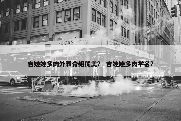 吉娃娃多肉外表介绍优美？ 吉娃娃多肉学名？