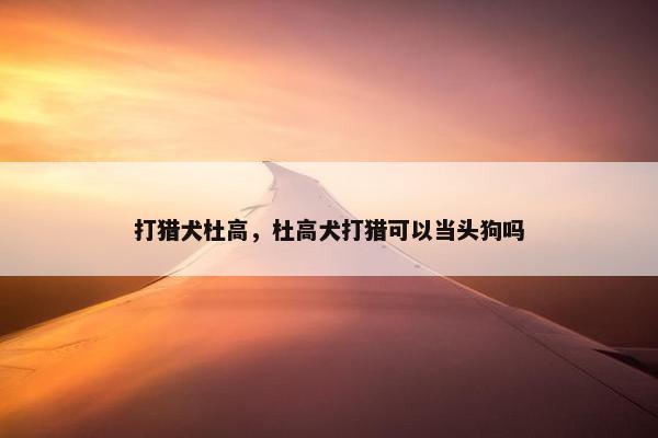 打猎犬杜高，杜高犬打猎可以当头狗吗