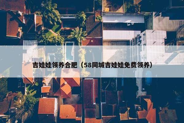 吉娃娃领养合肥（58同城吉娃娃免费领养）