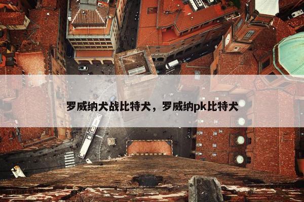 罗威纳犬战比特犬，罗威纳pk比特犬