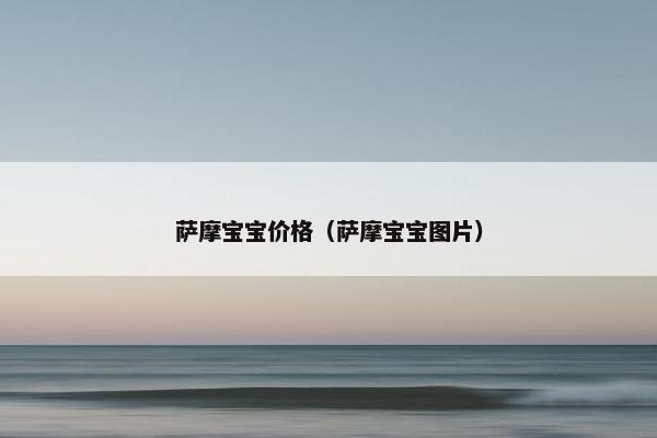 萨摩宝宝价格（萨摩宝宝图片）
