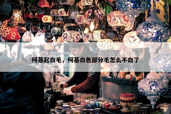 柯基起白毛，柯基白色部分毛怎么不白了