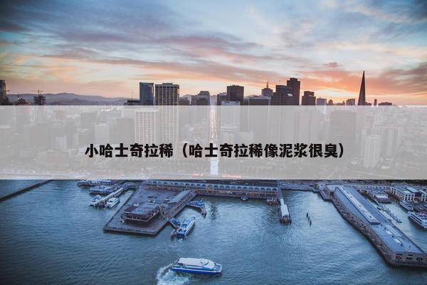 小哈士奇拉稀（哈士奇拉稀像泥浆很臭）