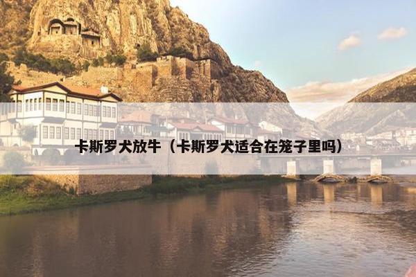 卡斯罗犬放牛（卡斯罗犬适合在笼子里吗）