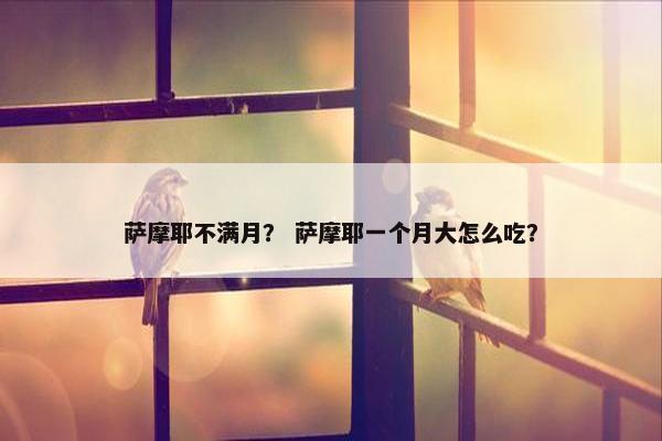 萨摩耶不满月？ 萨摩耶一个月大怎么吃？