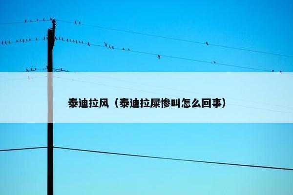 泰迪拉风（泰迪拉屎惨叫怎么回事）