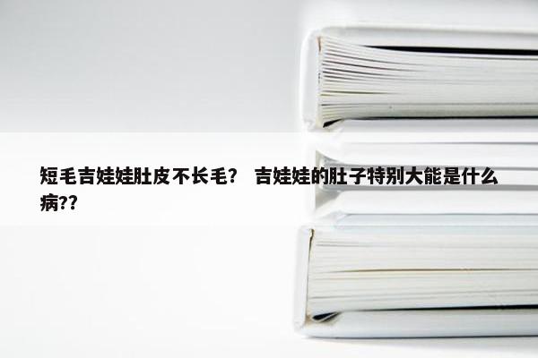 短毛吉娃娃肚皮不长毛？ 吉娃娃的肚子特别大能是什么病?？