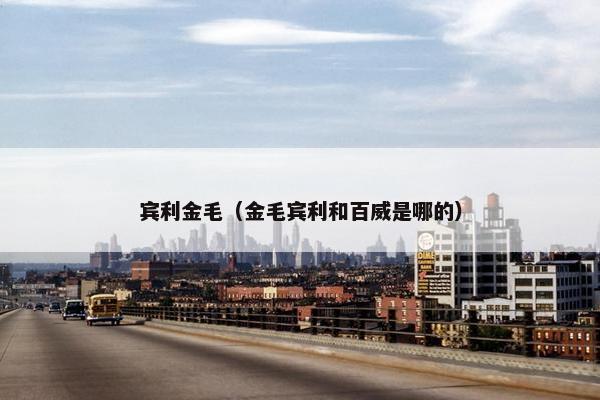宾利金毛（金毛宾利和百威是哪的）