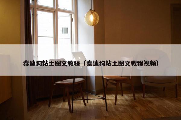 泰迪狗粘土图文教程（泰迪狗粘土图文教程视频）