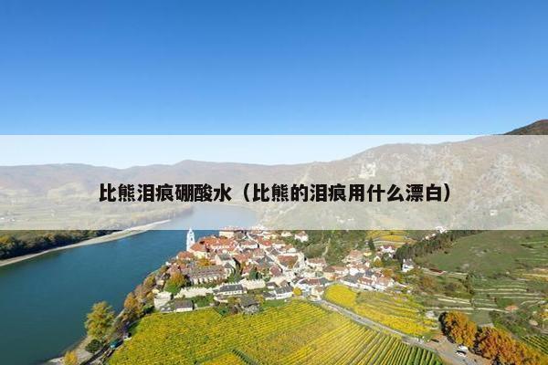 比熊泪痕硼酸水（比熊的泪痕用什么漂白）