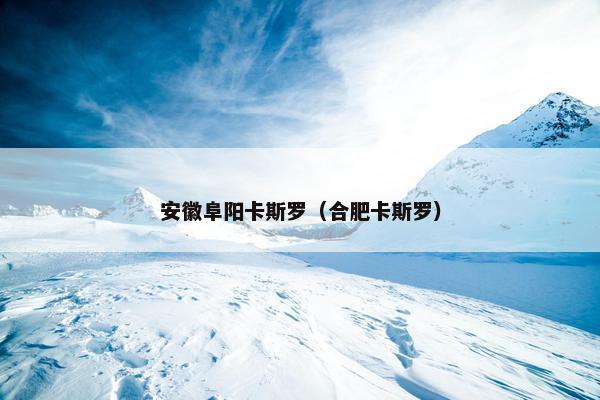 安徽阜阳卡斯罗（合肥卡斯罗）