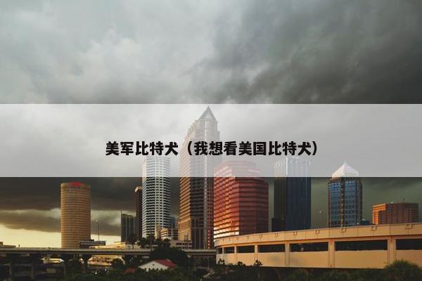 美军比特犬（我想看美国比特犬）