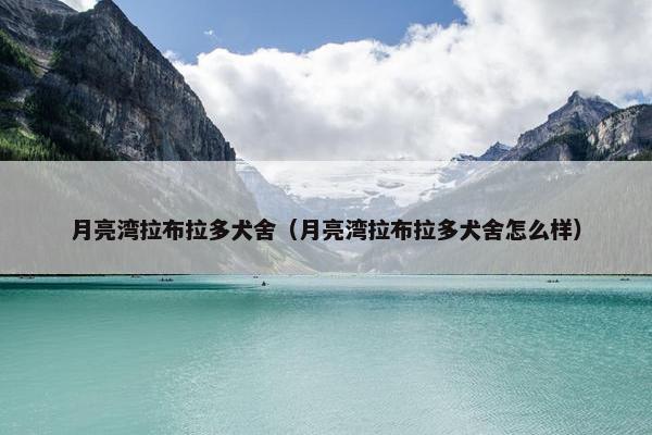月亮湾拉布拉多犬舍（月亮湾拉布拉多犬舍怎么样）