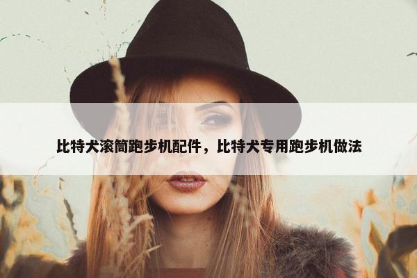 比特犬滚筒跑步机配件，比特犬专用跑步机做法