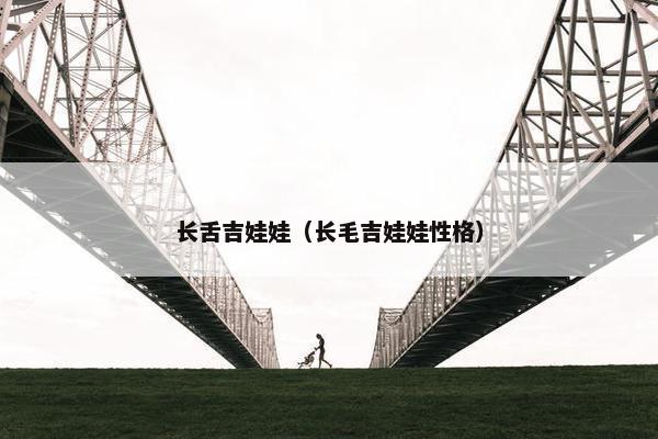 长舌吉娃娃（长毛吉娃娃性格）