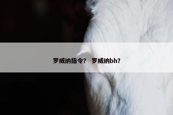 罗威纳指令？ 罗威纳bh？
