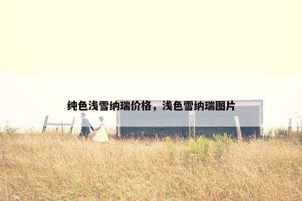 纯色浅雪纳瑞价格，浅色雪纳瑞图片