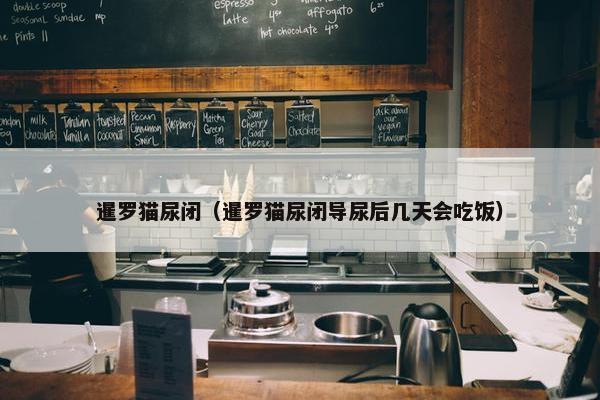 暹罗猫尿闭（暹罗猫尿闭导尿后几天会吃饭）