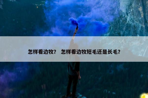 怎样看边牧？ 怎样看边牧短毛还是长毛？