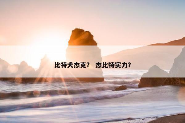 比特犬杰克？ 杰比特实力？