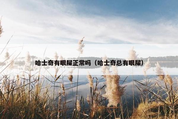 哈士奇有眼屎正常吗（哈士奇总有眼屎）