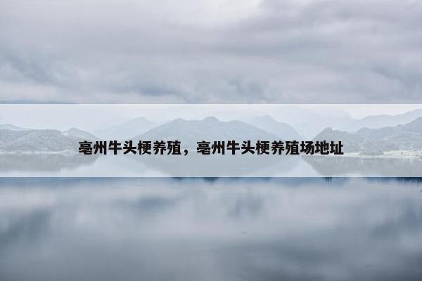 亳州牛头梗养殖，亳州牛头梗养殖场地址