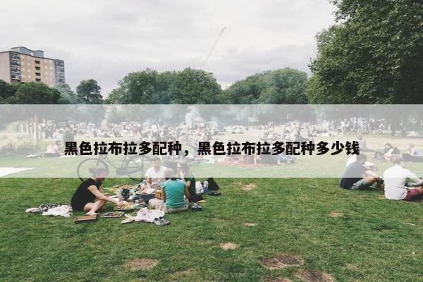 黑色拉布拉多配种，黑色拉布拉多配种多少钱