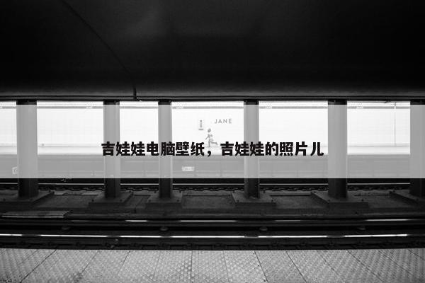 吉娃娃电脑壁纸，吉娃娃的照片儿